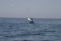 Kayaks